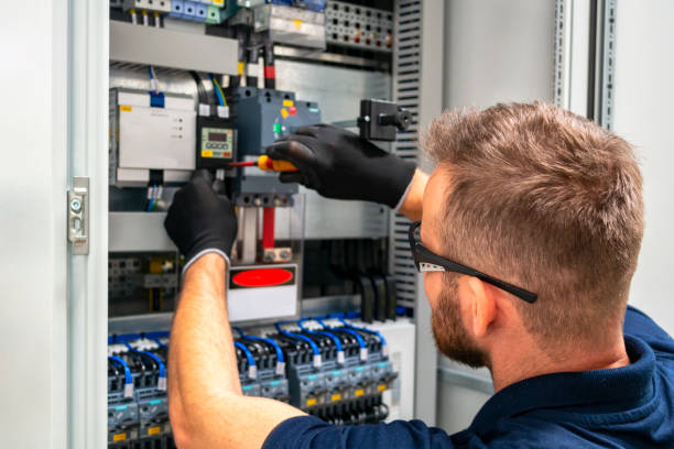 Best Electric Panel Repair  in , LA